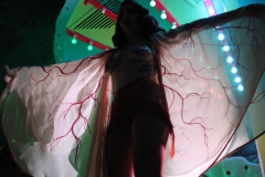 0-extraordinary-burlesque-show-in-berlin-lieschen-mueller-2026