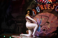 8-top-burlesque-show-unterm-fernsehturm-am-alex-in-lieschen-mueller-berlin-2026