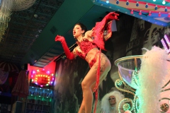 einzigartige-Burlesque-Party-Bar-und-Erlebnis-Restaurant-Lieschen-Mueller-mit-Cirque-du-burlesque-Show-in-Berlin-unter-dem-Fernsehturm-Alexanderplatz-2026