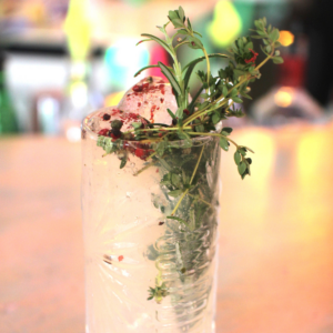 Gin Experience The Botanist